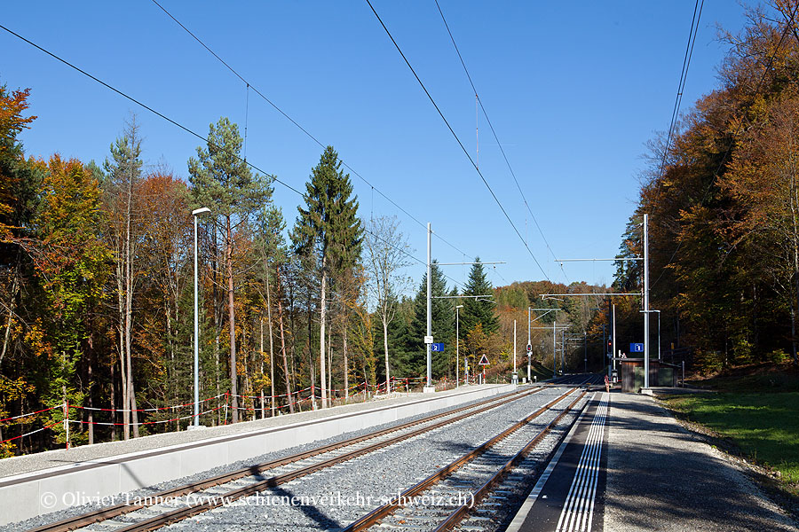 Bahnhof "Erdmannlistein"