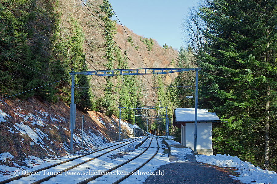 Bahnhof "Fontannaz-Seulaz"