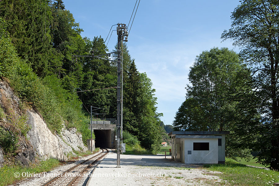 Bahnhof "Estavannens"