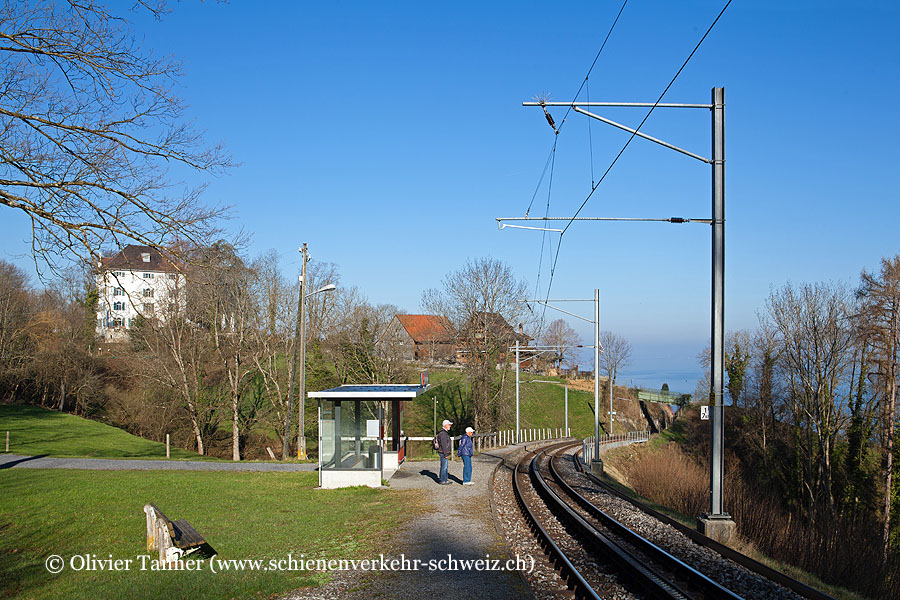 Bahnhof "Wartensee"