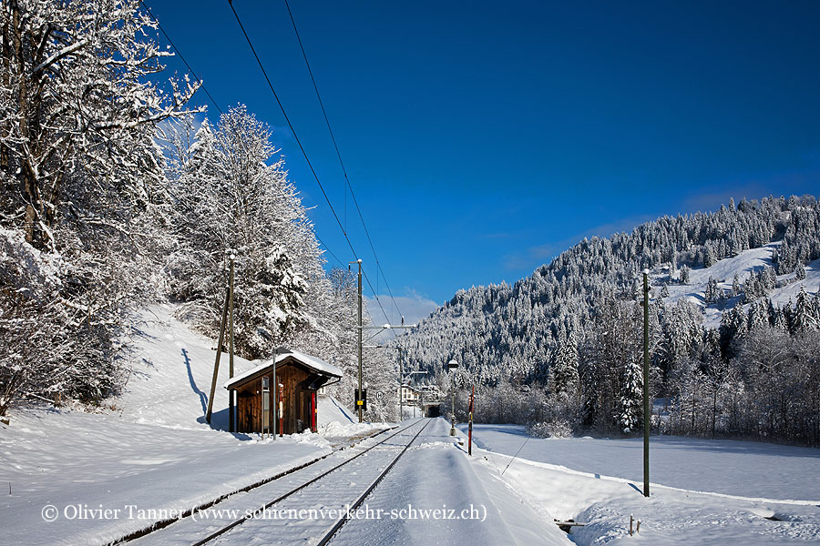 Bahnhof "Grubenwald"
