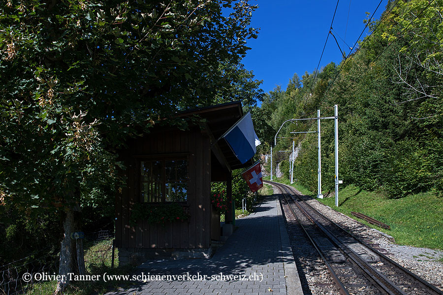 Bahnhof "Grubisbalm"