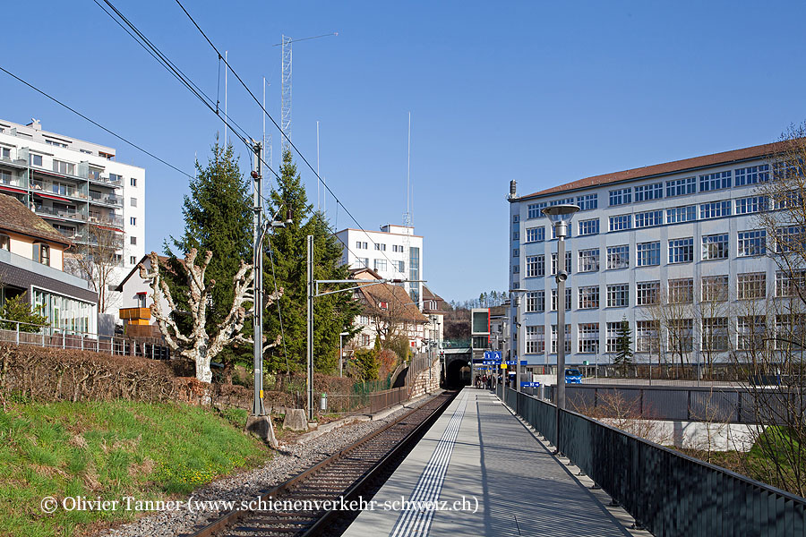 Bahnhof "Neuhausen Rheinfall"
