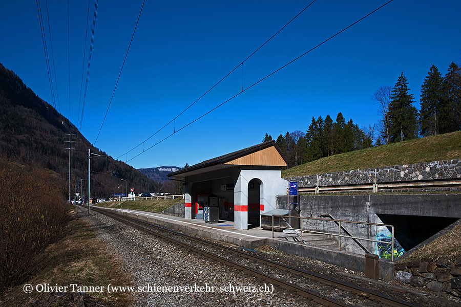 Bahnhof "Niederrickenbach Station"