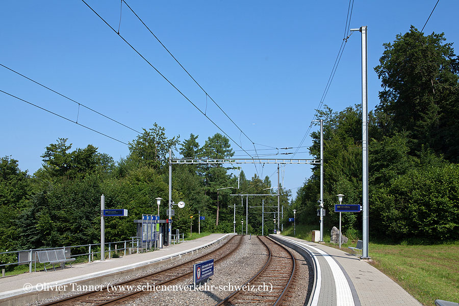 Bahnhof "Ringlikon"