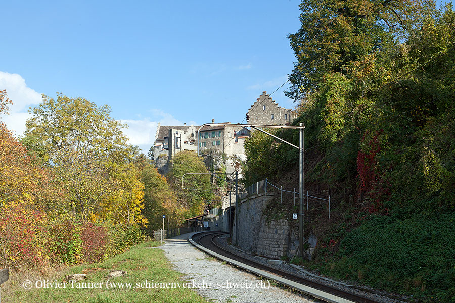 Bahnhof "Schloss Laufen am Rheinfall"