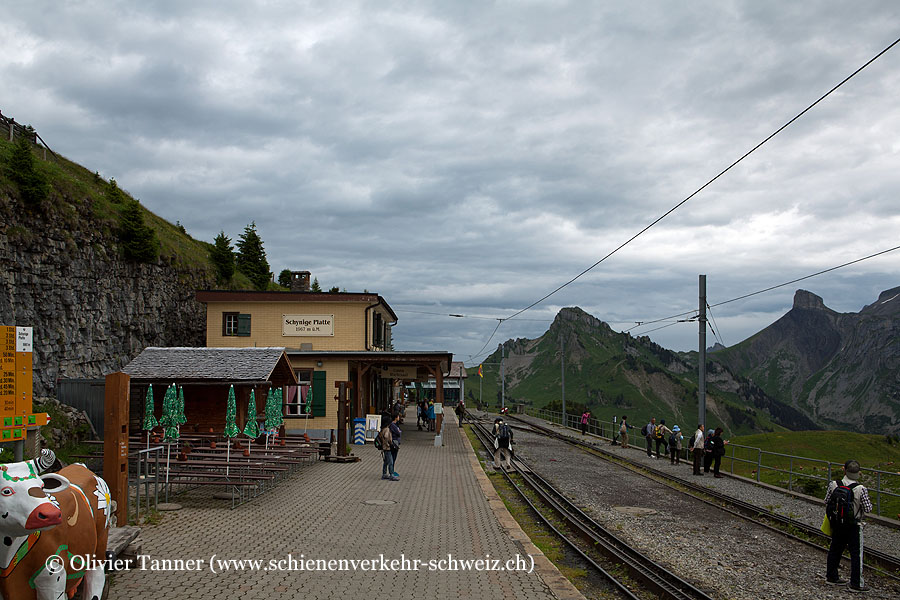 Bahnhof "Schynige Platte"