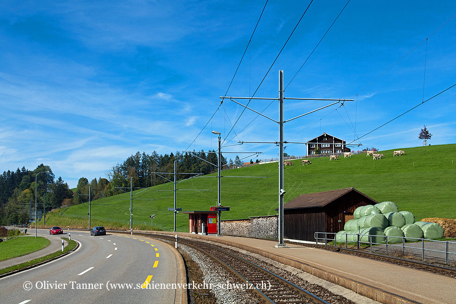 Bahnhof "Steigbach"