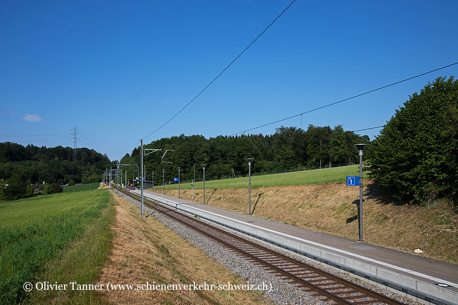 Bahnhof "Walterswil-Striegel"