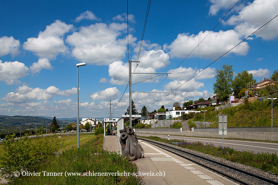 Bahnhof "Widen Heinrüti"