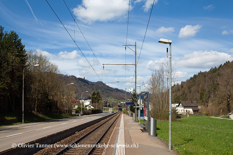 Bahnhof "Wildpark-Höfli"