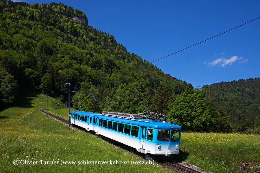 BDhe 2/4 14 auf dem Weg nach Goldau