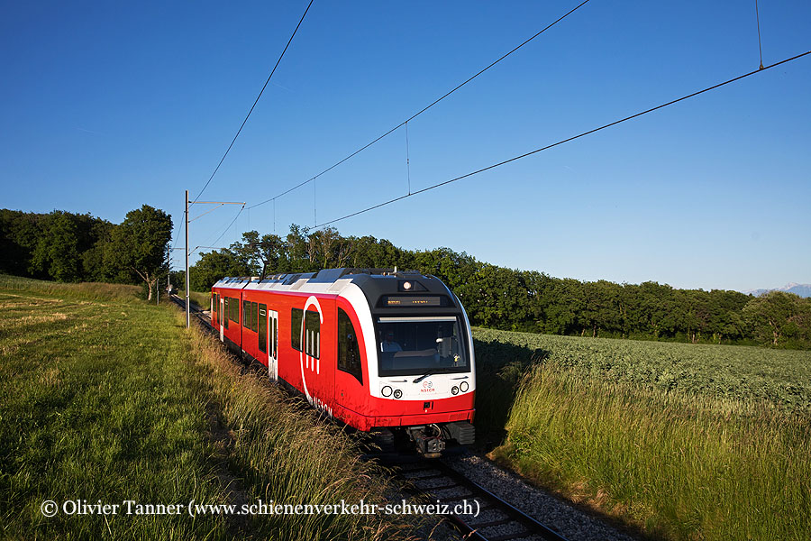 ABe 4/8 415-416 als R55 St-Cergue – Nyon