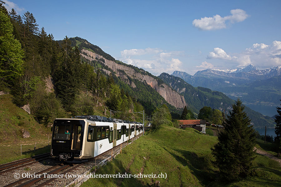 Bhe 2/6 46 und Bhe 2/6 43 auf dem Weg nach Rigi Kulm
