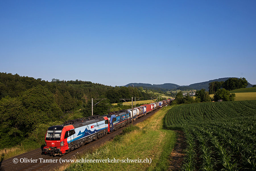 Br 193 464 und Br 193 520 mit einem Transitgüterzug