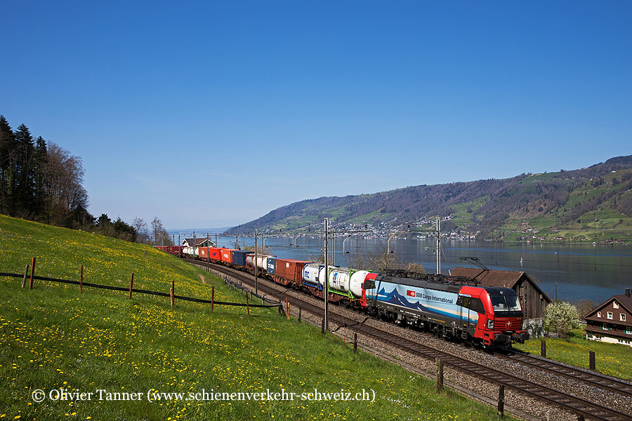 Br 193 463 mit einem Transitgüterzug