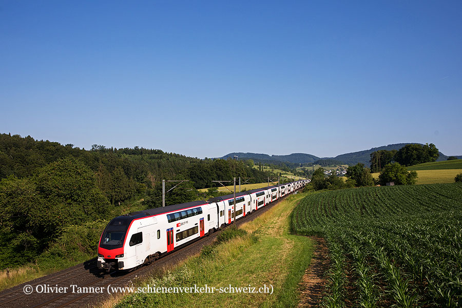 RABe 512 030 und RABe 512 013 als IR36 Zürich – Basel