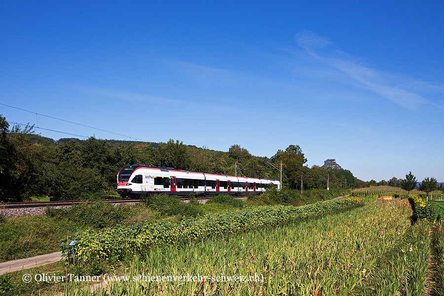 RABe 521 206 als Regionalbahn Engen – Singen (Hohentwiel) – Konstanz