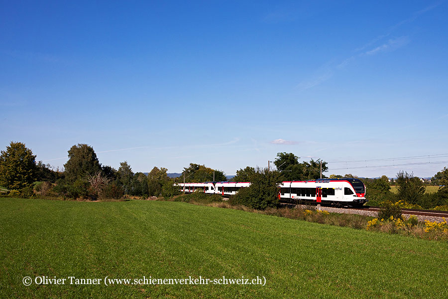 RABe 521 208 und RABe 521 206 als Regionalbahn Engen – Singen (Hohentwiel) – Konstanz