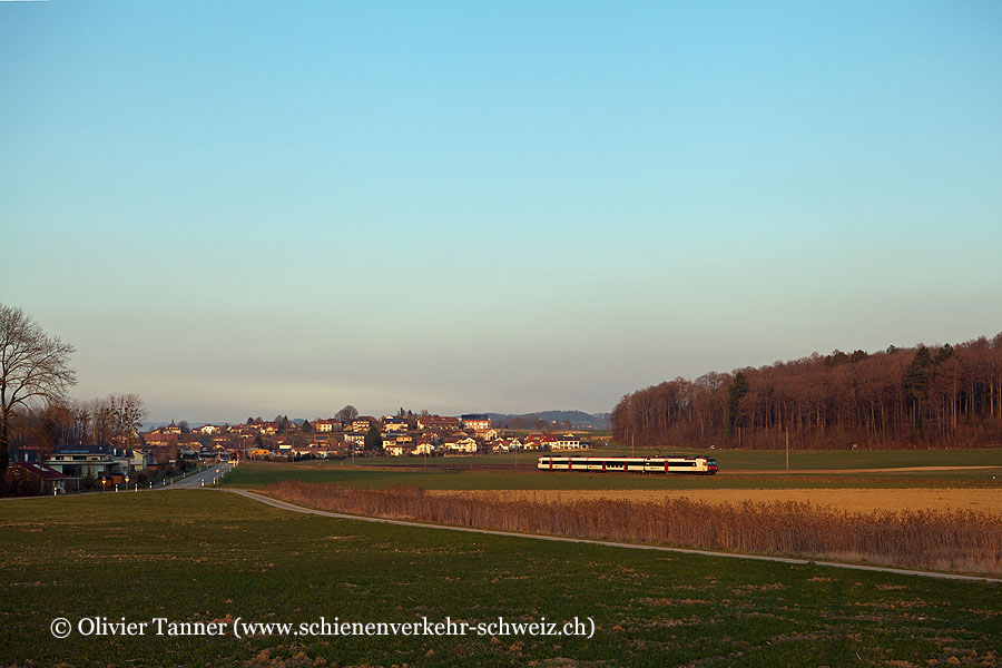 Domino mit RBDe 560 204 als Regio Murten – Payerne