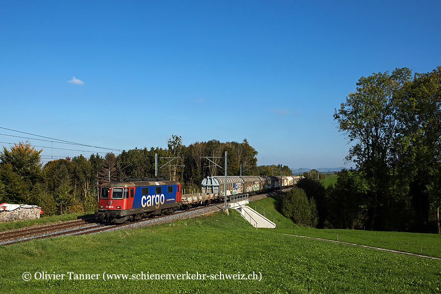 Re 421 390 mit einem Nahverkehrsgüterzug