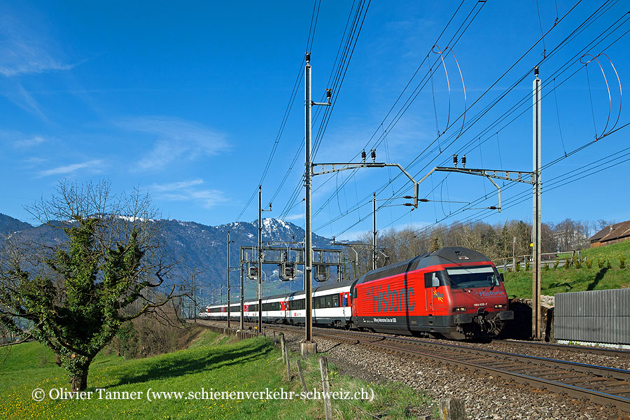 Re 460 102 ’’Historic’’ mit Gotthard-IR