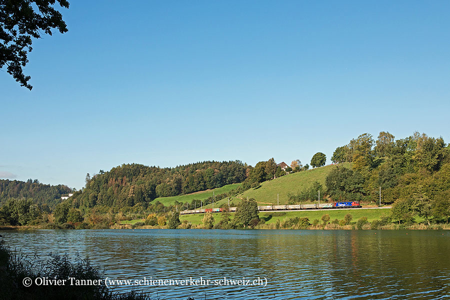 Re 620 083 mit dem Stahlzug