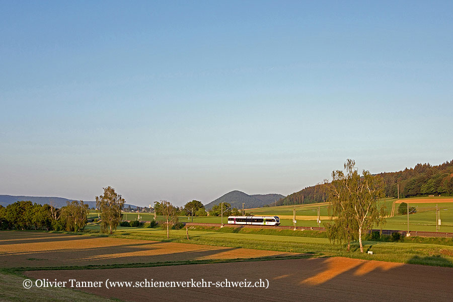 RABe 526 732 als S-Bahn Schaffhausen – Erzingen (Baden) im allerletzten Abendlicht